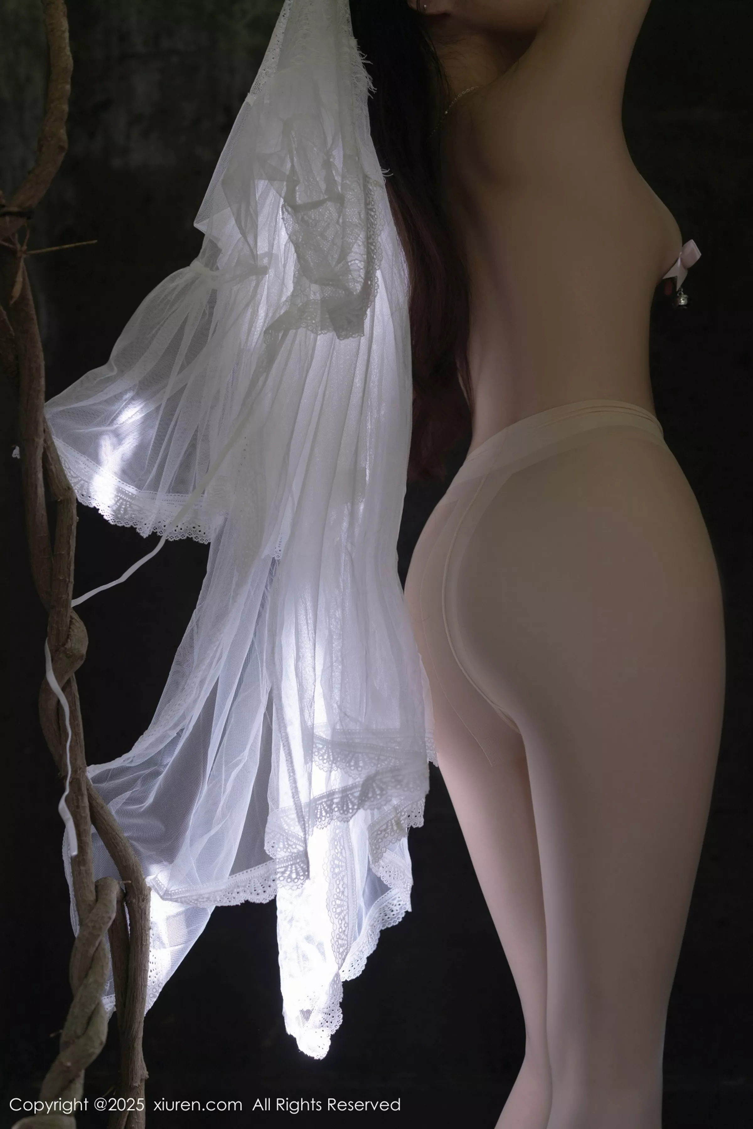 [XiuRen秀人网]第10173期鱼子酱写真 photo 2-8