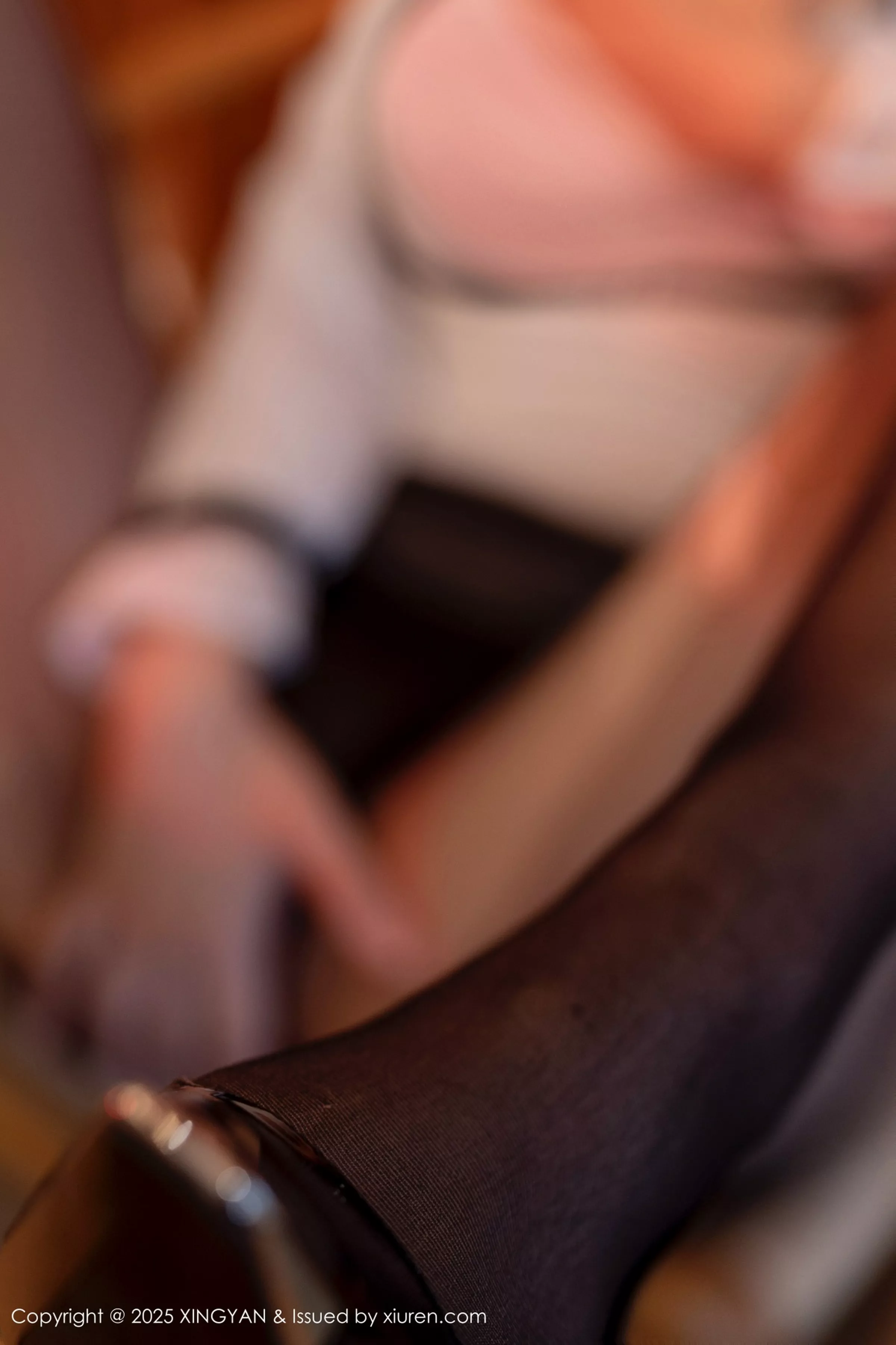 [XingYan星颜社]第379期阮福福写真 photo 2-12