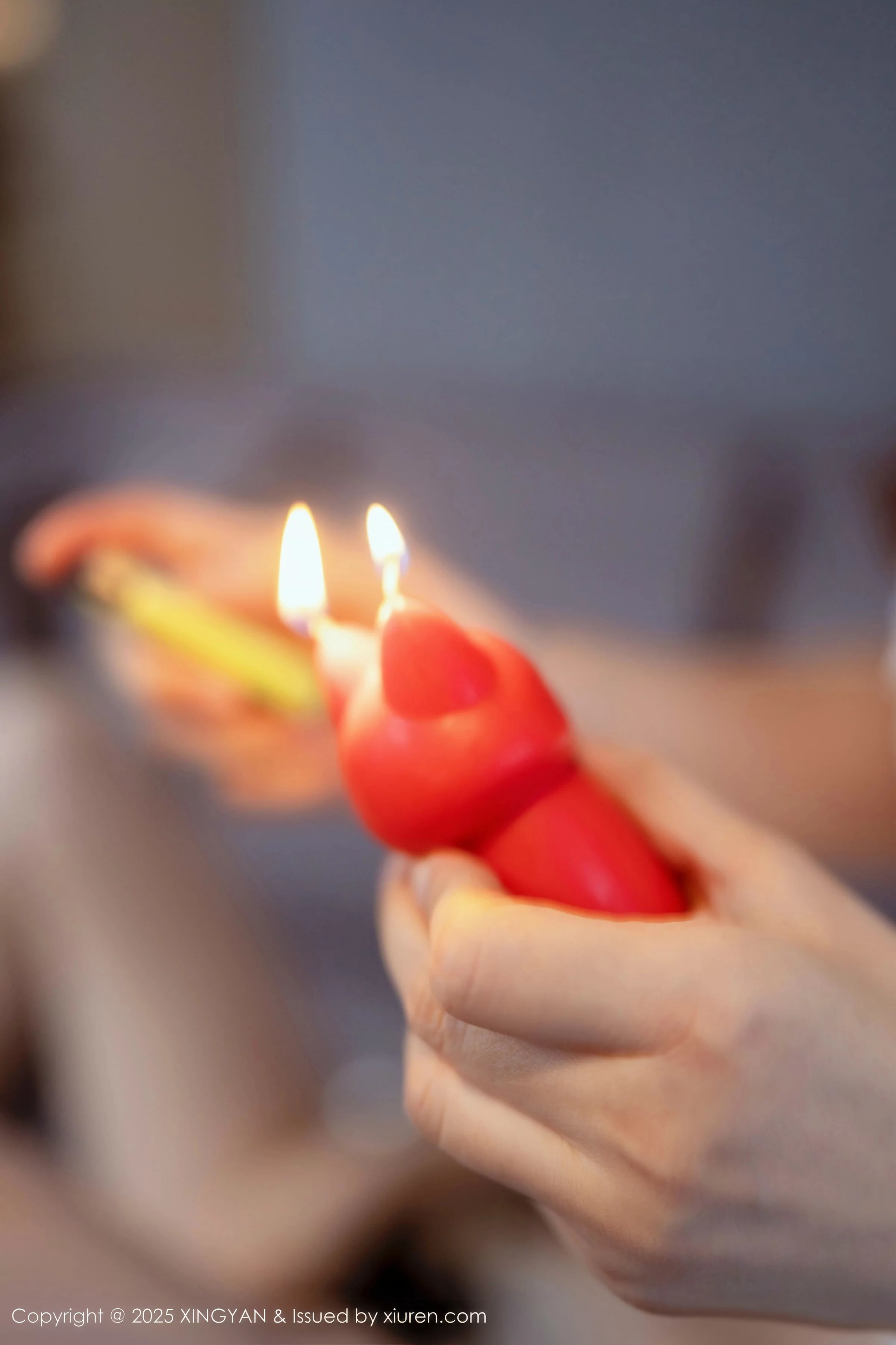 [XingYan星颜社]第388期李丽莎写真 photo 3-14