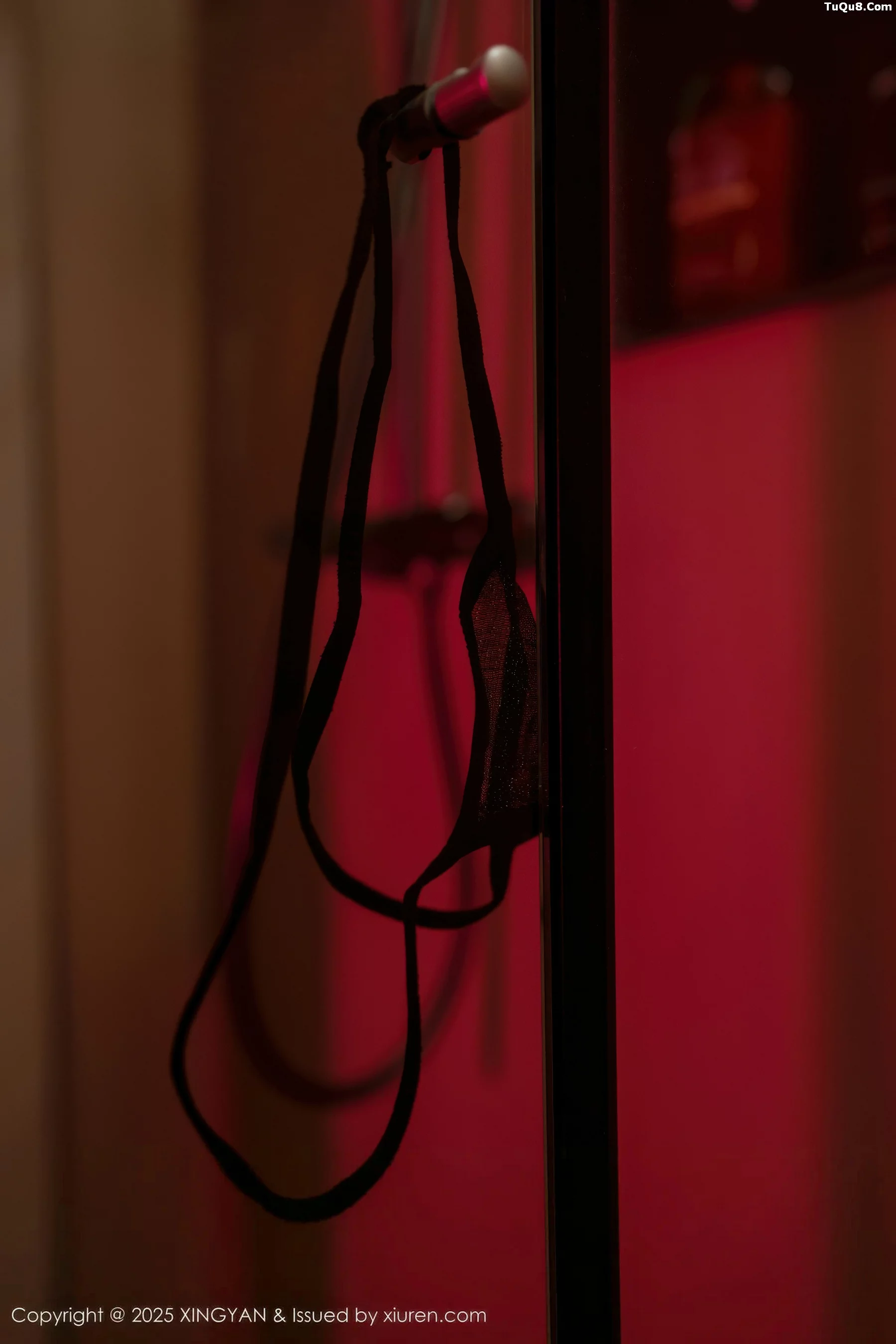 [XingYan星颜社]第424期沈南汐写真 photo 1-15