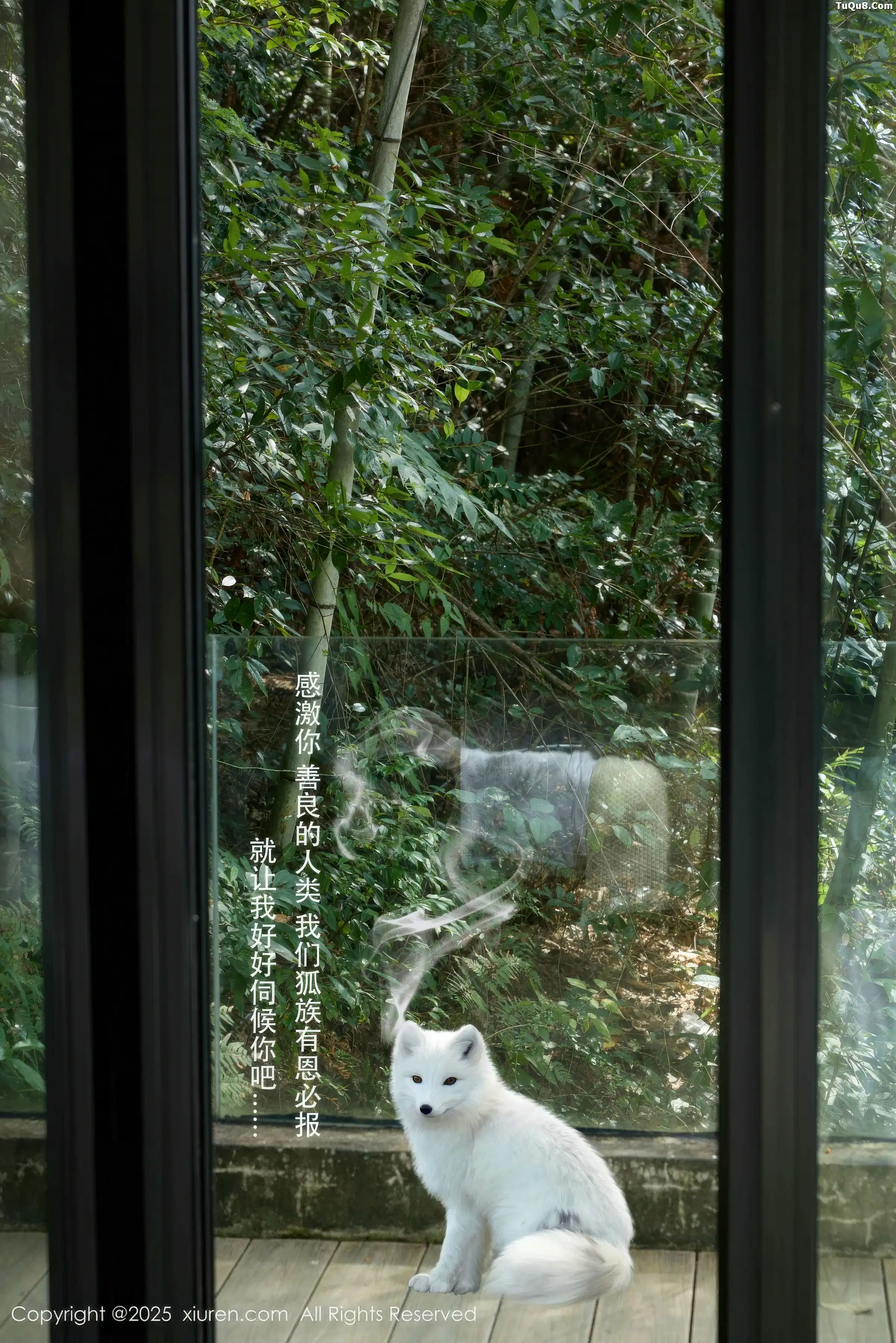 [XiuRen秀人网]第11068期尹甜甜写真 photo 1-0